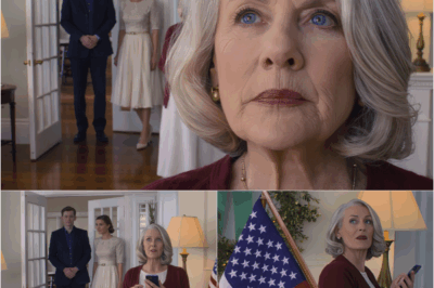 On Christmas night, my family said: ‘We don’t need your opinion anymore.’ I responded with silence — and then with action. I had never done anything like this, but this time I went all the way and accepted all consequences. The inheritance worth two hundred million dollars changed hands — and that was when I affirmed my final boundary. That was the last Christmas gift I sent to my family.